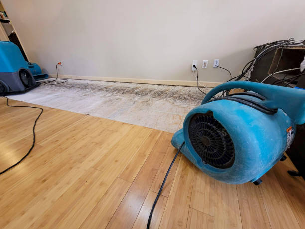 Professional Water Removal technician working in Jolley, IA